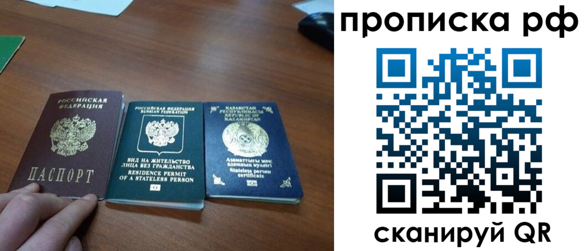 прописка поиск в Павловске