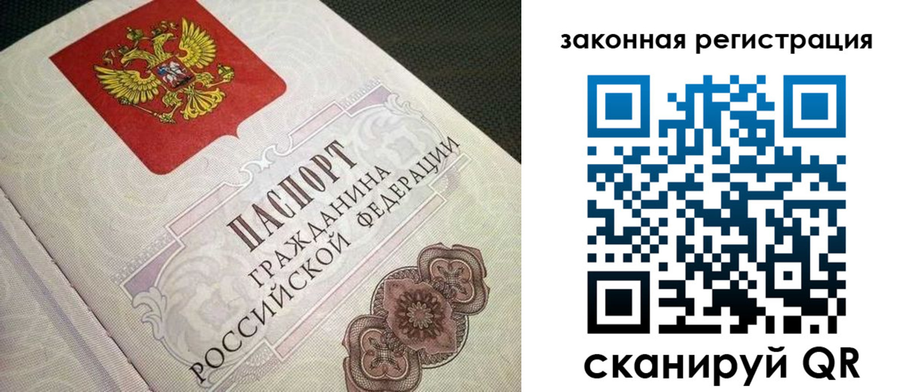 прописка в Павловске